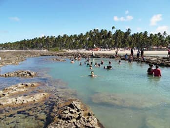 Passeios para Praia dos Carneiros - Piscina Natural Passeios para Praia dos Carneiros - Piscina Natural